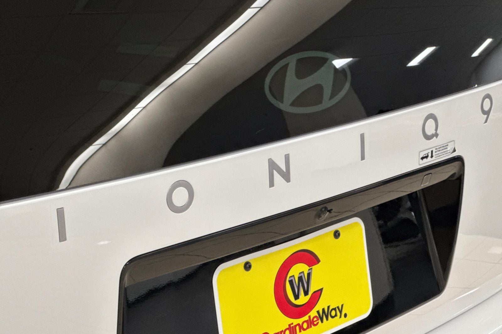 2026 Hyundai IONIQ 9 Performance Limited