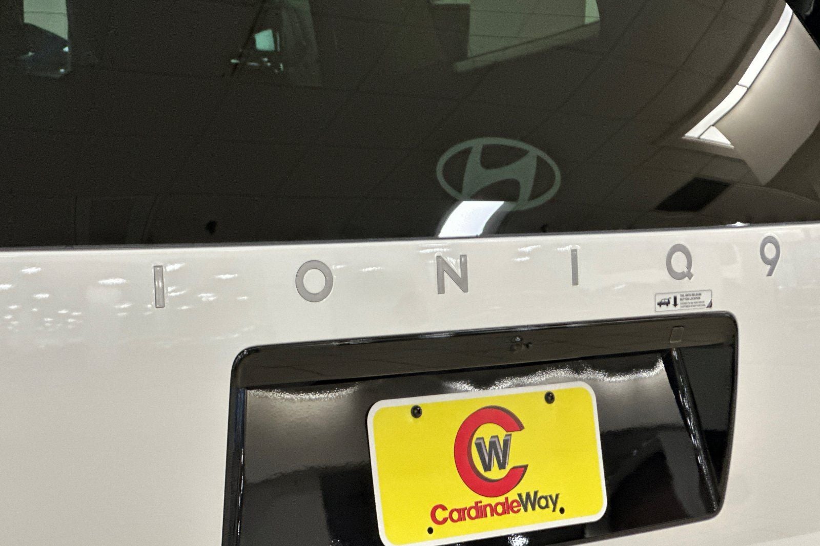 2026 Hyundai IONIQ 9 Performance Limited