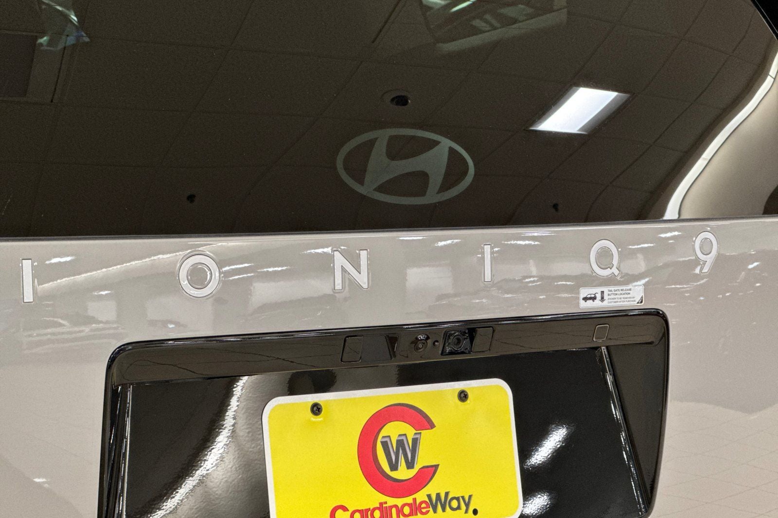 2026 Hyundai IONIQ 9 Performance Calligraphy